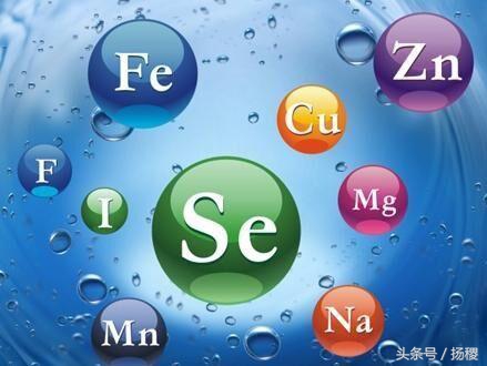 补充维生素锌硒如何食补,什么水果可以补充维生素钙铁锌硒