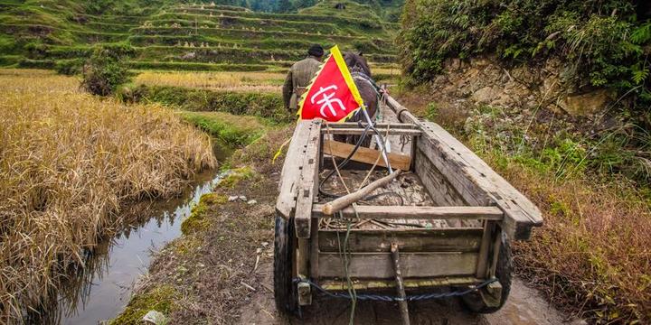 拥抱纯净世界，梦回黔东南