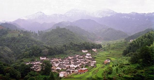 藏在深山无人识,石台县原始森林