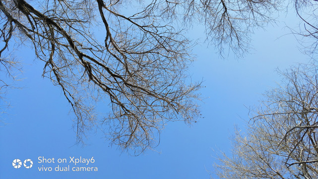 vivoxplay6测评还值得购买吗,vivoxplay6刚发售价格