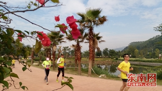 漳州马拉松比赛时间表,上千名跑者齐聚