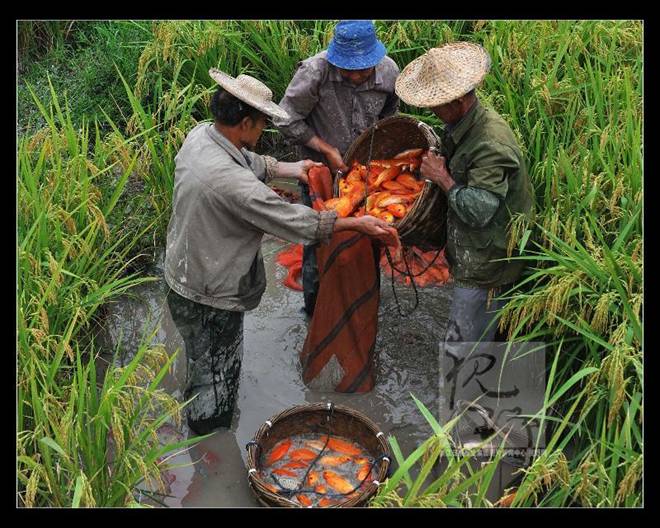 寻找最美摩旅线路10：蓝天清山碧水浙闽行
