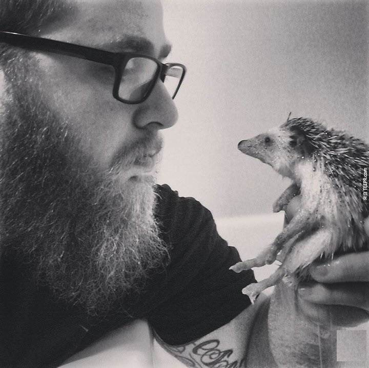 刚出生的小刺猬太可爱了,小刺猬没有牙齿