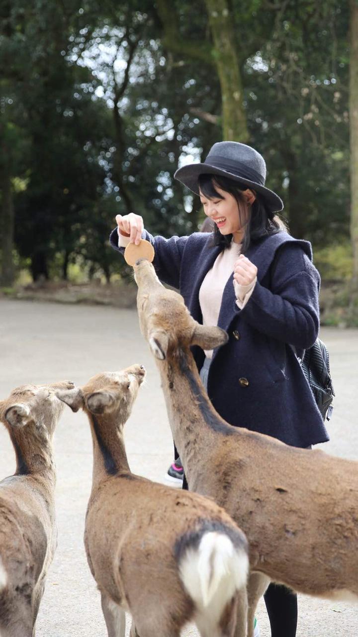 关西温泉六日游,大阪关西机场温泉