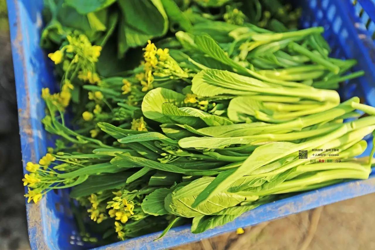 去清远连州怎样最方便,广东连州攻略