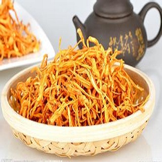 针对肾阳虚的产品有哪些,治疗肾阳不足的药都有哪些