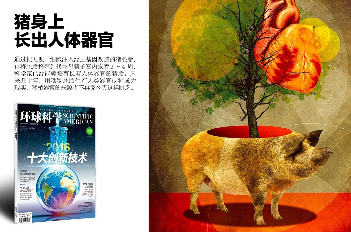 2021中国科技创新盘点,十大科技创新技术案例