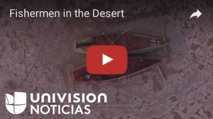 4大板块5种套路，这家西班牙视频网站火遍了美国