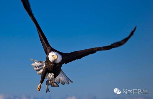 赤子赋｜我们是中国国防生，改革强军新生代