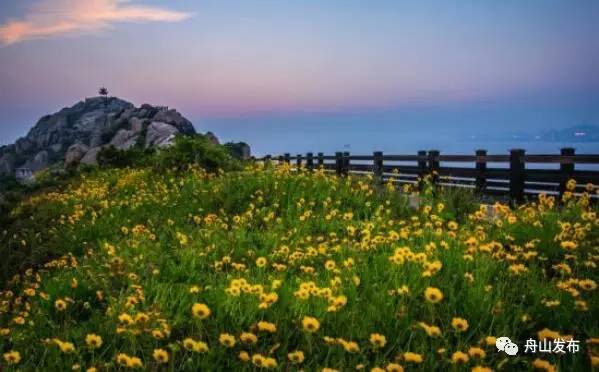 浙江生态环境最好的地方,浙江省自然生态环境最好的城市