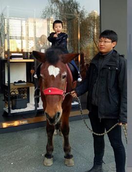 新世界国贸8年不打烊，突破极限对垒电商