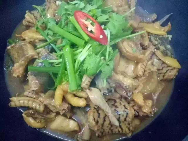 澶氳倝妞嶇墿椁愬惂,妤奸《澶氳倝鑺卞洯椁愬巺