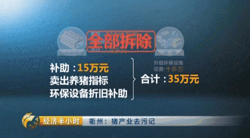 养猪致富2021,养猪致富猪大肠