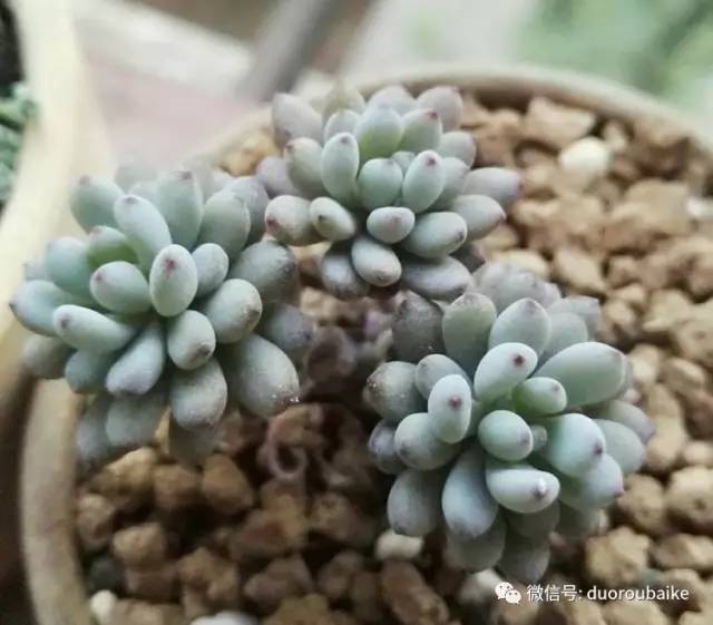 美好的时光带来快乐,美好的时光伴随着我