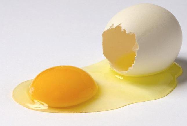 泰迪狗哪些食物不能吃,泰迪狗不可以吃的食物