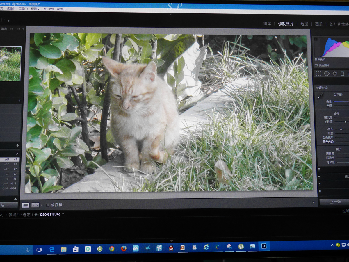 27寸白色2k高刷显示器优派,显示器27寸平面优派