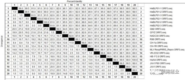 一个持续免疫“瑞兰安”生长猪临床效果追踪的意外发现