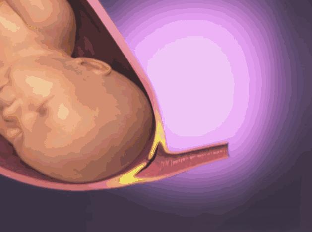 动画演示生孩子全过程，母亲的伟大你可懂？