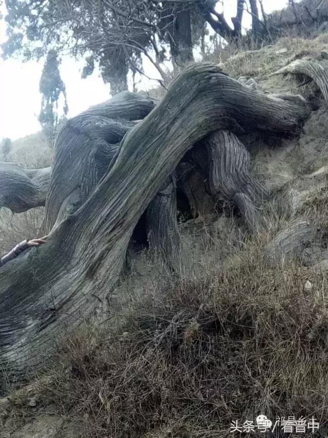 祁县三个村,祁县所有村名单