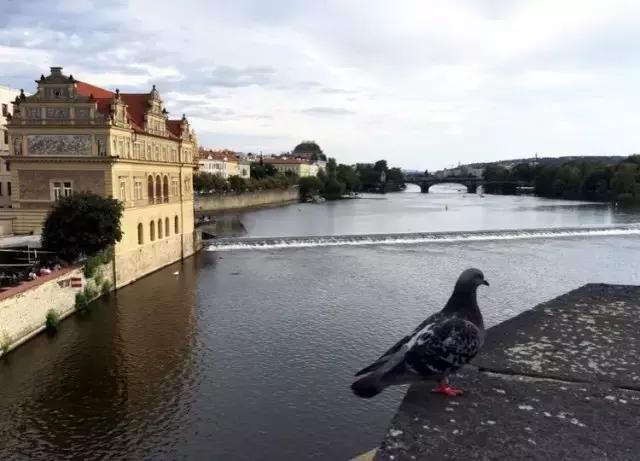 布拉格广场hello,hello说唱布拉格