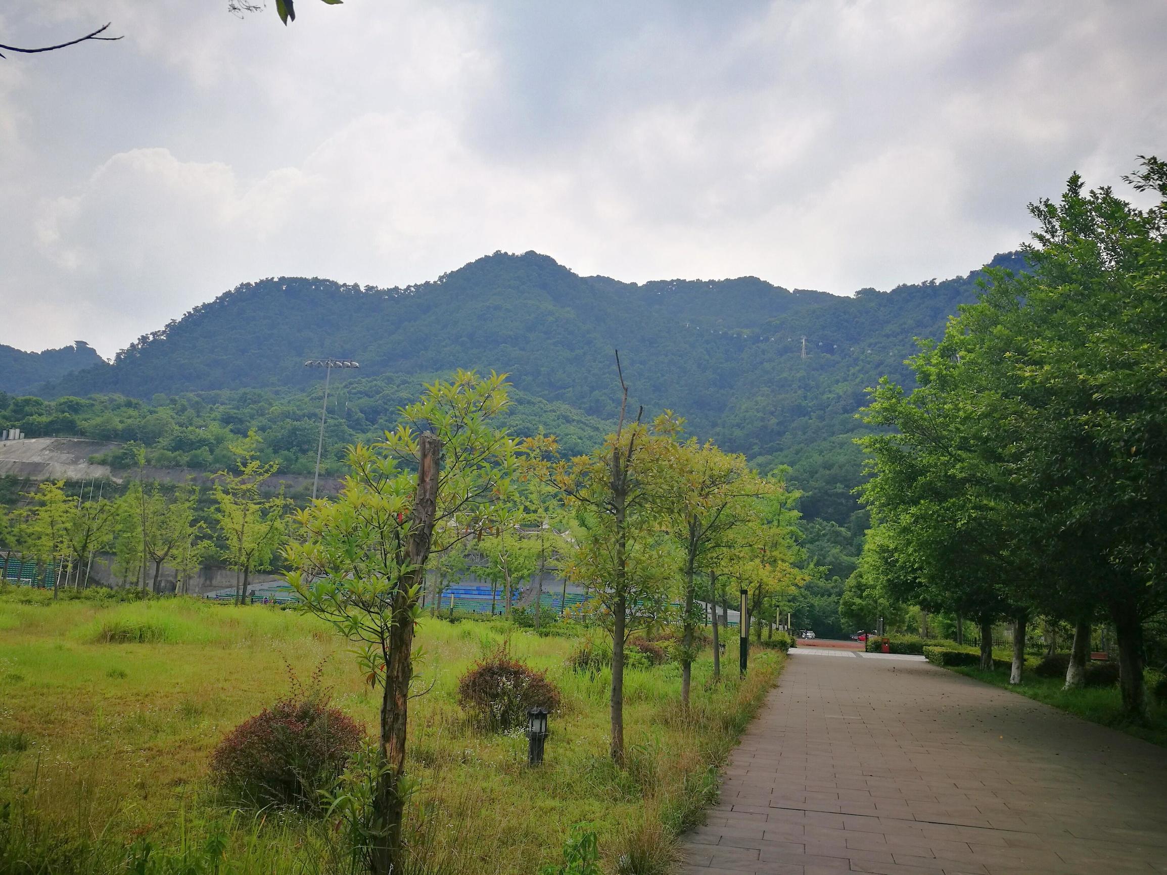 重庆十大最美的大学排行榜,重庆最美风景区排名