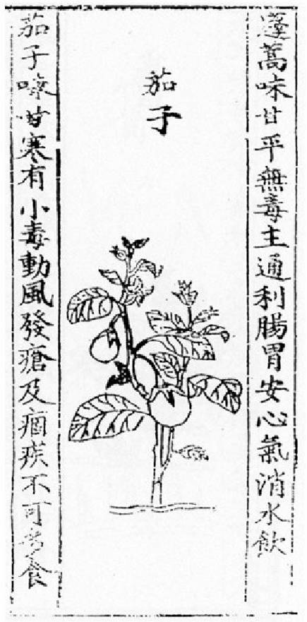 古人夏天喜欢吃什么解暑,古人冬天吃什么蔬菜