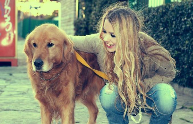 养狗前的十个忠告,养狗之前需要知道的事