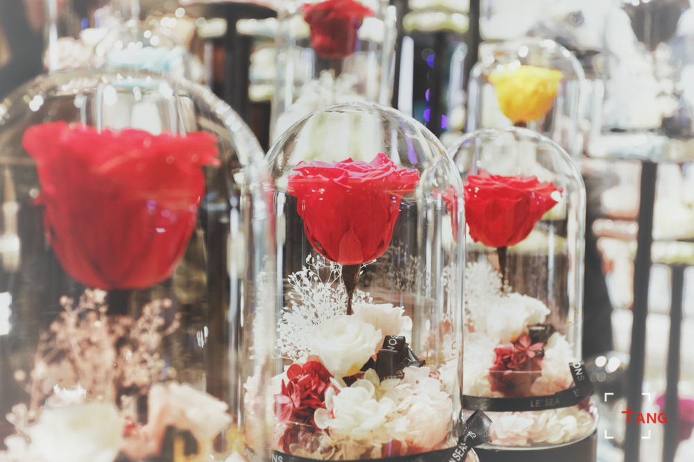 一起去澳门过圣诞,去澳门过圣诞