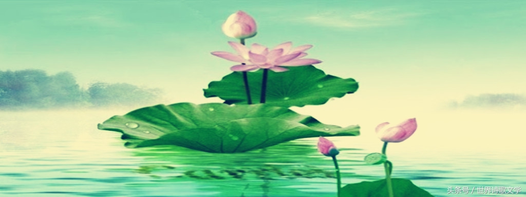 诗歌大赛第一名的诗,第一季诗词大赛