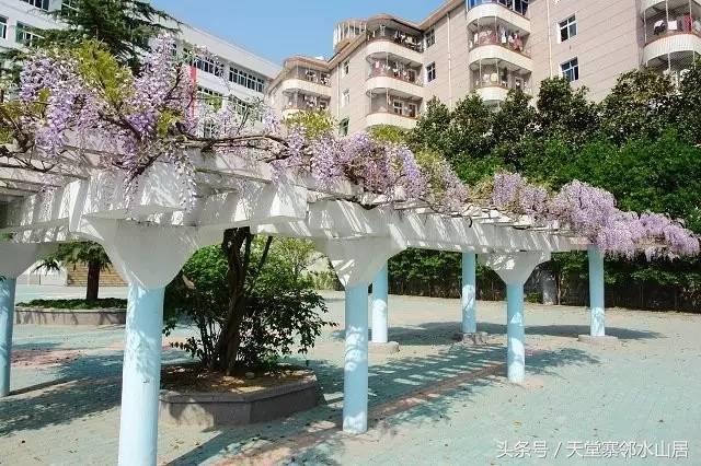 故乡情最难忘的图片,故乡情结最重的地方