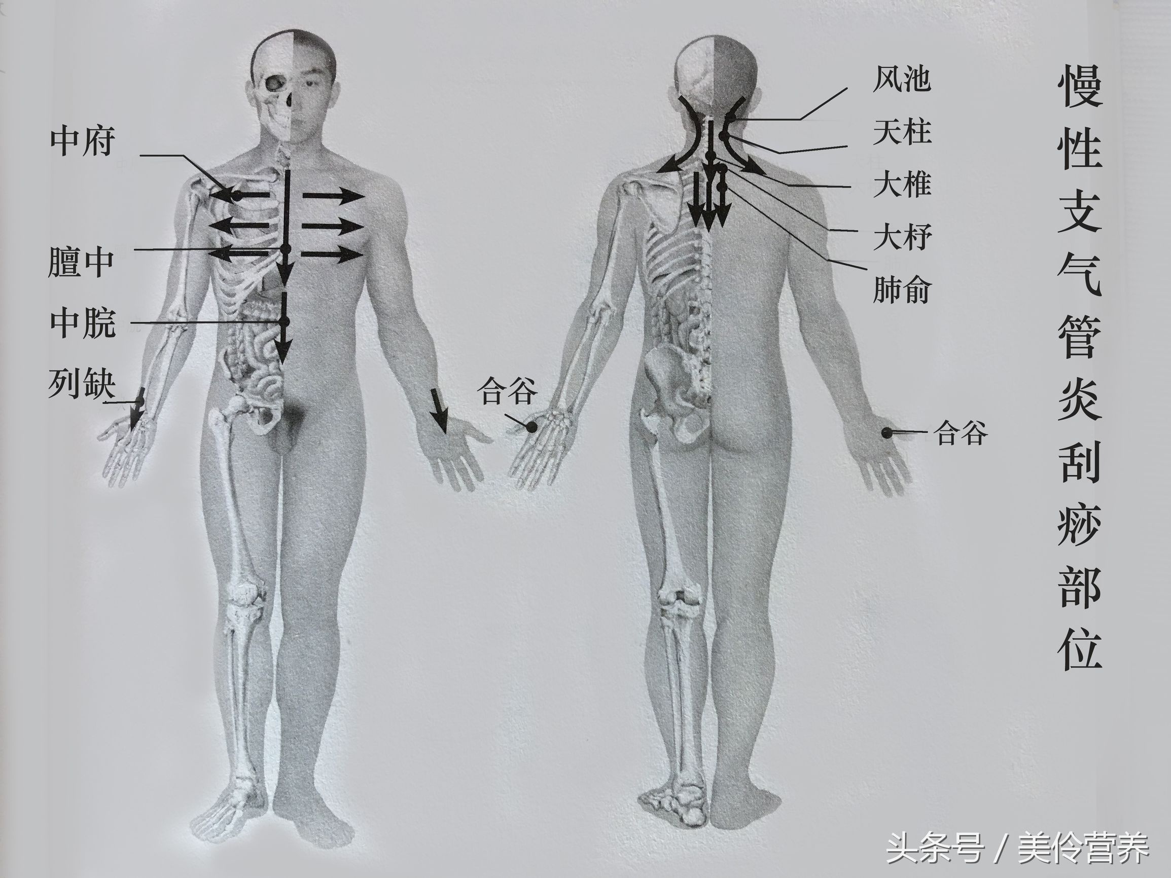支气管炎穴位刮痧视频,支气管炎咳嗽刮痧哪里效果最快