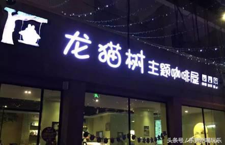 猫咪主题餐厅一览表,首家猫咪主题餐厅