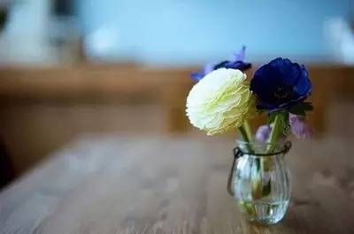 我心素已闲,我心素已闲原文