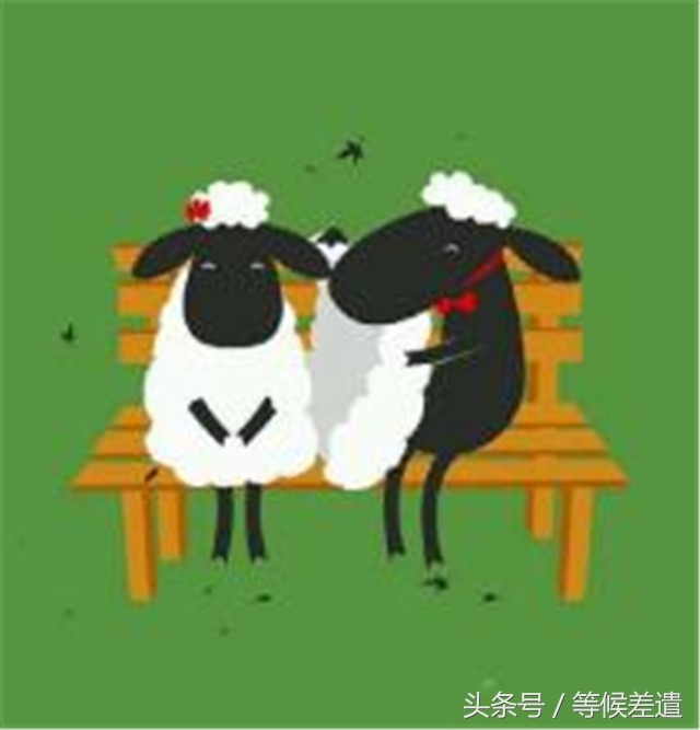 治愈系良方解救你的空虚寂寞冷