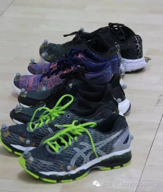 斑马测评视频,斑马测评