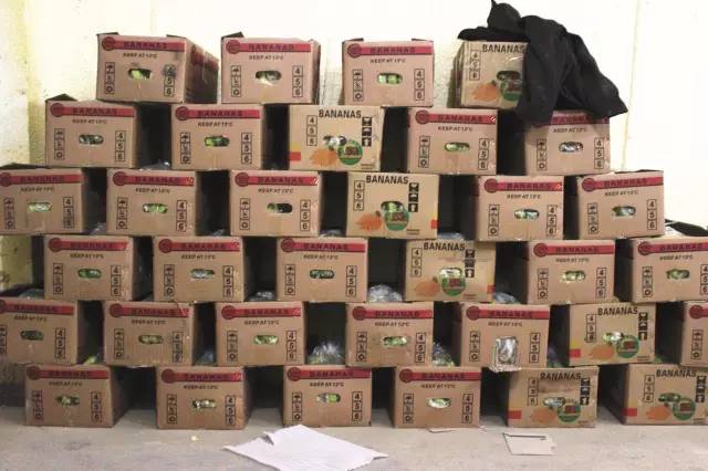 逛水果批发市场拿货,山东十大水果批发市场