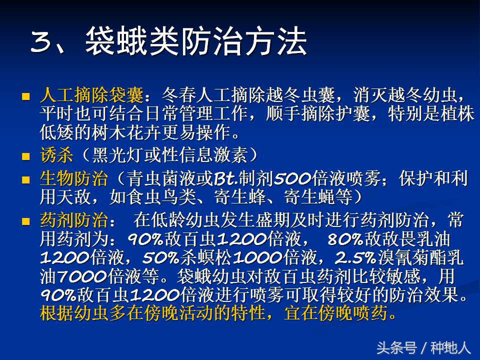 会吃叶子的虫子有哪些,哪些虫子爱吃树叶虫