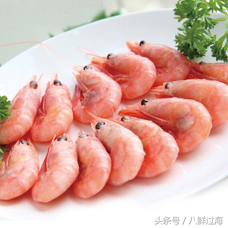 阿根廷红虾和北极虾哪个好,阿根廷红虾vs北极甜虾对比