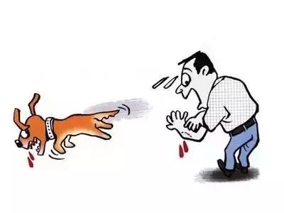 狗狗身上携带狂犬病毒会传染吗,狗狗身上有寄生虫会传染人吗