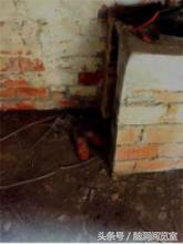 七大网红探索废弃恐怖精神病院,四川龙泉废弃精神病院