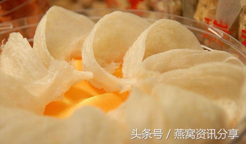 燕窝最全百科知识,燕窝科普类趣味短视频