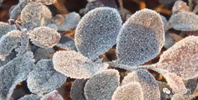 气温零下八度早晨局部有霜冻,宜兴明晨有霜冻吗