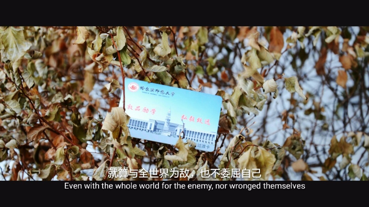 印象哈师大,曾经的哈师大风光