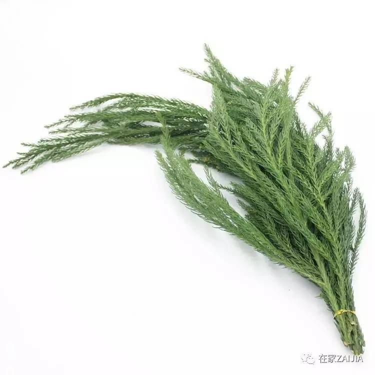 朋友来你家美到哭,手残*党**也能搞定的低价节日餐桌