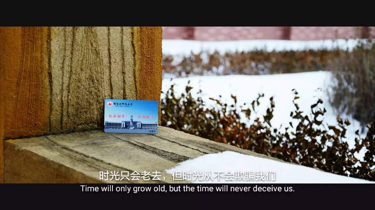 印象哈师大,曾经的哈师大风光