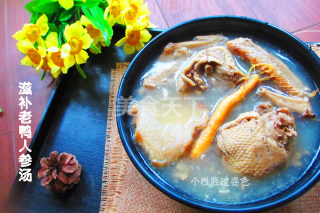 滋补老鸭人参汤怎么做,老鸭石斛人参汤