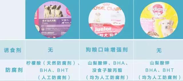 狗粮综合测评分析,狗粮怎么选多款狗粮测评来袭
