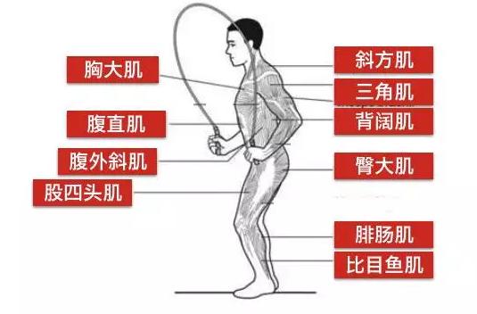 跳绳是个好运动燃脂又健脑,一分钟跳绳100-140个燃脂效率最高