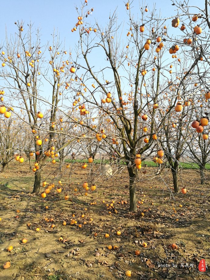 青岛哪里可以泡冰水浴,青岛什么地方可以泡温泉泡澡