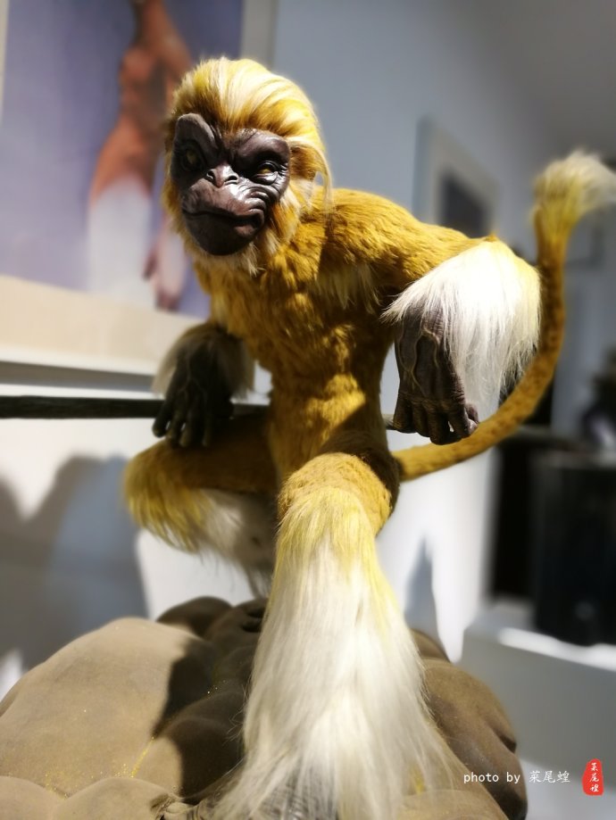 青岛哪里可以泡冰水浴,青岛什么地方可以泡温泉泡澡